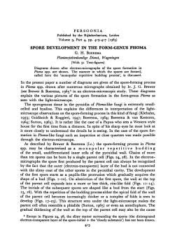 spore-forming process monopolar repetitive budding small, pyenidial b