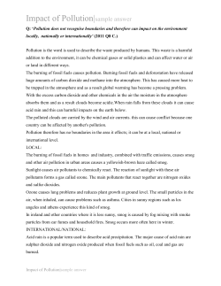 Impact of Pollution|sample answer