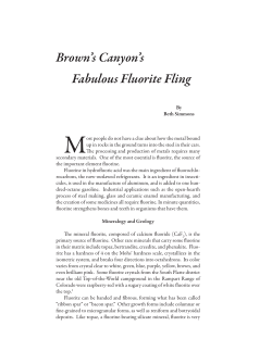 pdf - Mining History Association