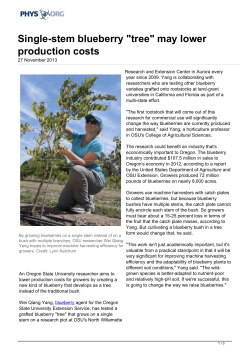 Single-stem blueberry "tree" may lower production costs