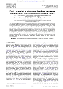 First record of a pterosaur landing trackway