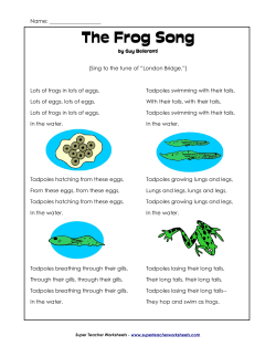 The Frog Song - Super Teacher Worksheets