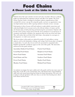 Food Chains Guide-EDITED