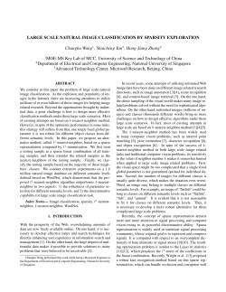 LARGE SCALE NATURAL IMAGE CLASSIFICATION BY SPARSITY