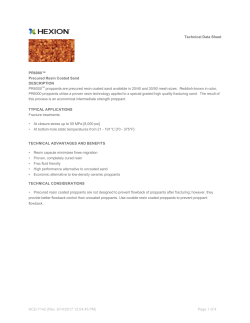 Technical Data Sheet PR6000&trade; Precured Resin Coated Sand