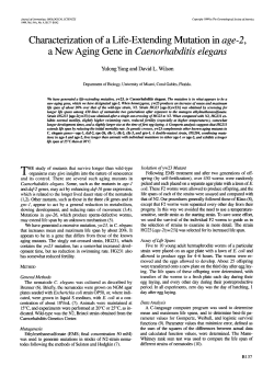 Characterization of a Life-Extending Mutation in age