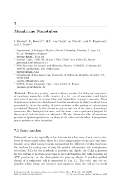 7 Membrane Nanotubes