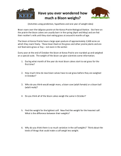 Have you ever wondered how much a Bison weighs?