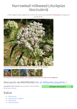 Narrowleaf milkweed (Asclepias fascicularis)