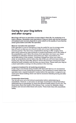 Caring for your Dog before and after surgery