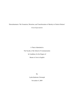 Disenchantment: The Formation, Distortion, and Transformation of