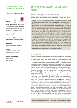 Endosymbiotic theories for eukaryote origin