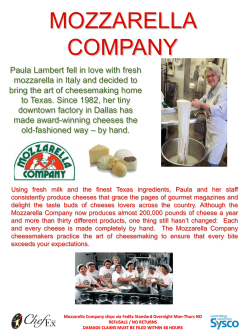 mozzarella company