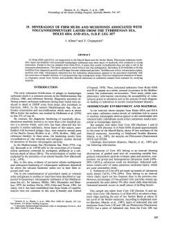 19. Mineralogy of Firm Muds and Mudstones Associated with