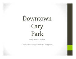 Concept - Town of Cary