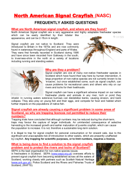 North American Signal Crayfish(NASC)