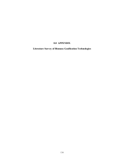 Biomass Gasification Finall Report - Fischer