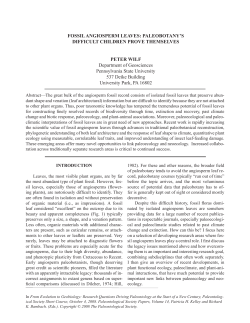 FOSSIL ANGIOSPERM LEAVES