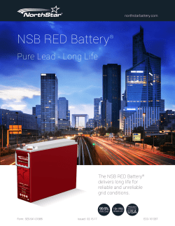 NSB RED Battery &reg; Family Brochure