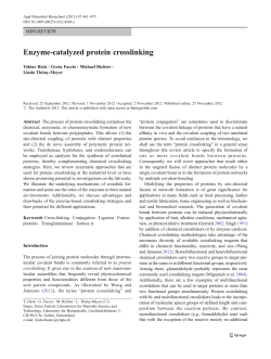 Enzyme-catalyzed protein crosslinking | SpringerLink