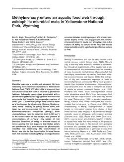 Methylmercury enters an aquatic food web through acidophilic