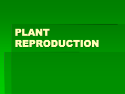 PLANT REPRODUCTION