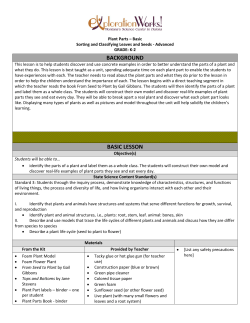 Plants Lesson Plan #1 K-2