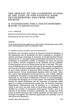 The descent of the flowering plants in the light of