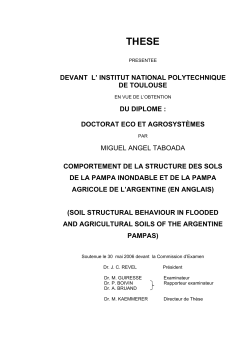 Soil structural behaviour in flooded and agricultural soils of the