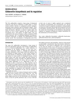 Gibberellin biosynthesis and its regulation