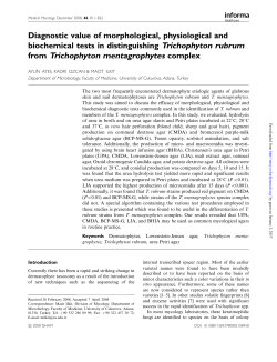 from Trichophyton mentagrophytes complex