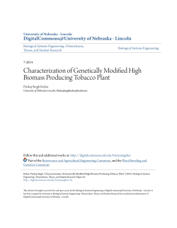 Characterization of Genetically Modified High Biomass Producing