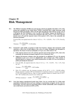 Chapter 30 Risk Management