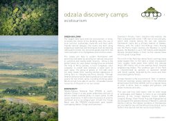 odzala discovery camps