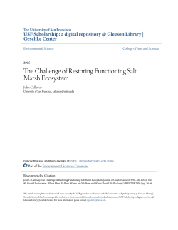 The Challenge of Restoring Functioning Salt Marsh Ecosystem