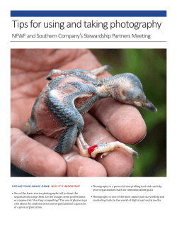 Seeing is Believing: Storytelling Through Photography