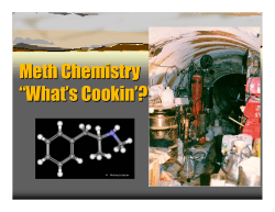 Meth Chemistry “What`s Cookin`?”