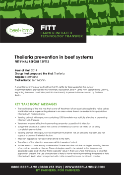 Title of Fitt project - Beef + Lamb New Zealand