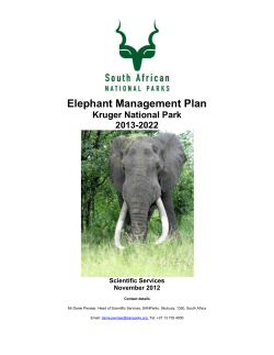 Elephant Management Plan