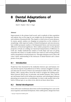 8 Dental Adaptations of African Apes