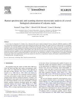 Raman spectroscopic and scanning electron microscopic analysis of