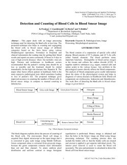 Detection and Counting of Blood Cells in Blood Smear Image