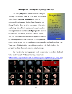 Development, anatomy and physiology of the eye
