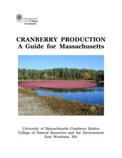 CRANBERRY PRODUCTION A Guide for