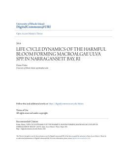 life cycle dynamics of the harmful bloom forming macroalgae ulva
