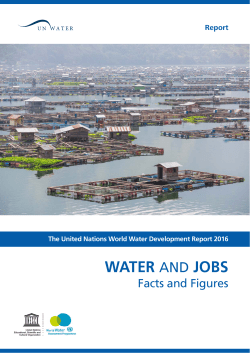 The United Nations world water development report