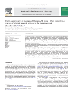The Neogene flora from Badaogou of Changbai, NE China &mdash; Most