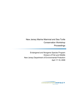 NJ Marine Mammal and Sea Turtle Conservation Workshop