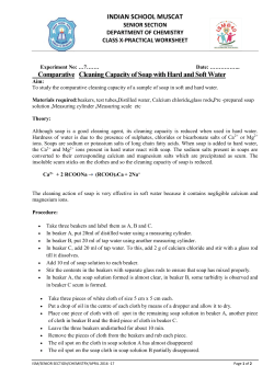 class_x_chemistry_cleaning capacity of soap_labsheet_7