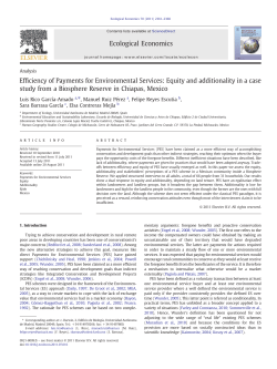 Efficiency of Payments for Environmental Services